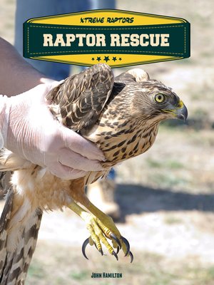 cover image of Raptor Rescue